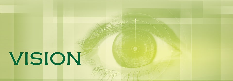 Kausar Vision Page Banner