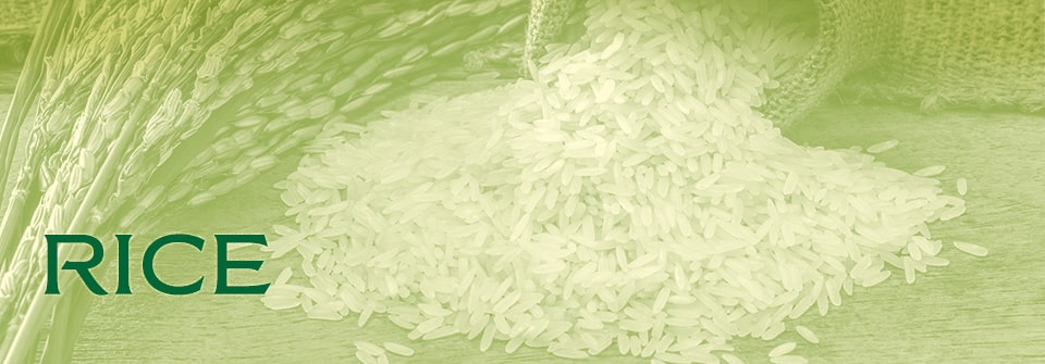 Kausar Rice Page Banner