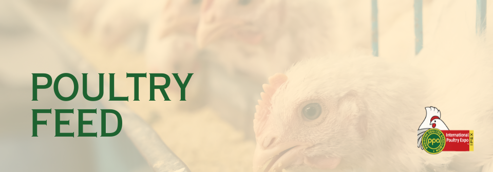 Kausar Rice Page Banner