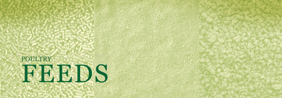 Kausar Rice Page Banner