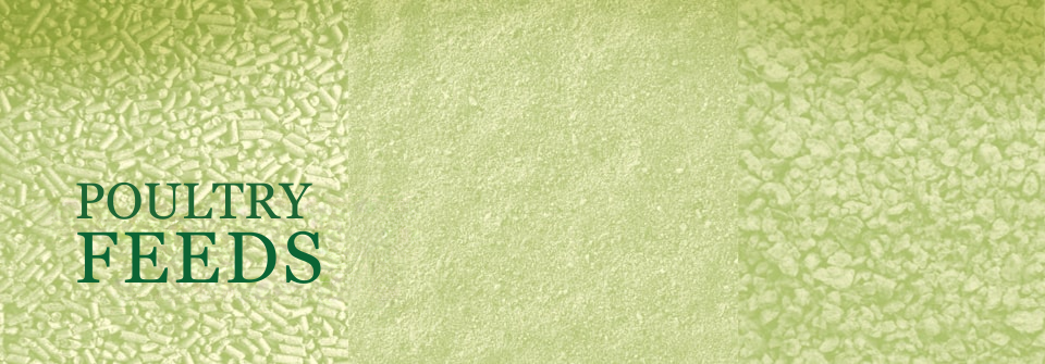 Consumer Poultry Page Banner