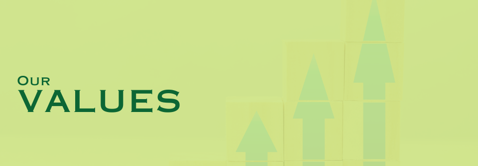 Kausar Values Page Banner